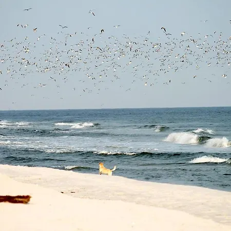 White Pearl 3.09 Timmendorfer Strand